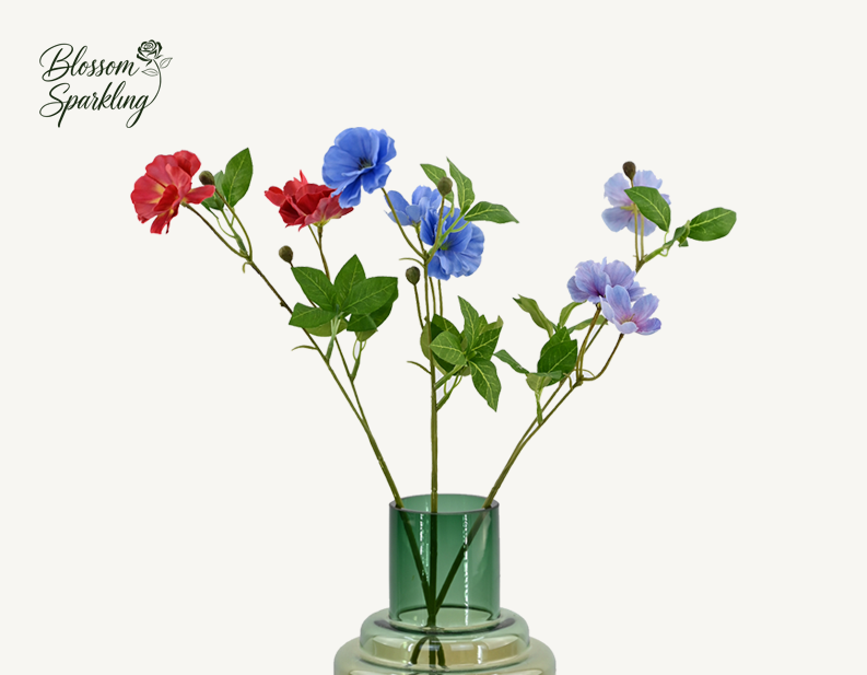 Butterfly Ranunculus